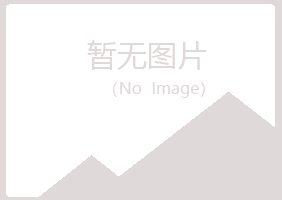 平阳县夏岚水泥有限公司